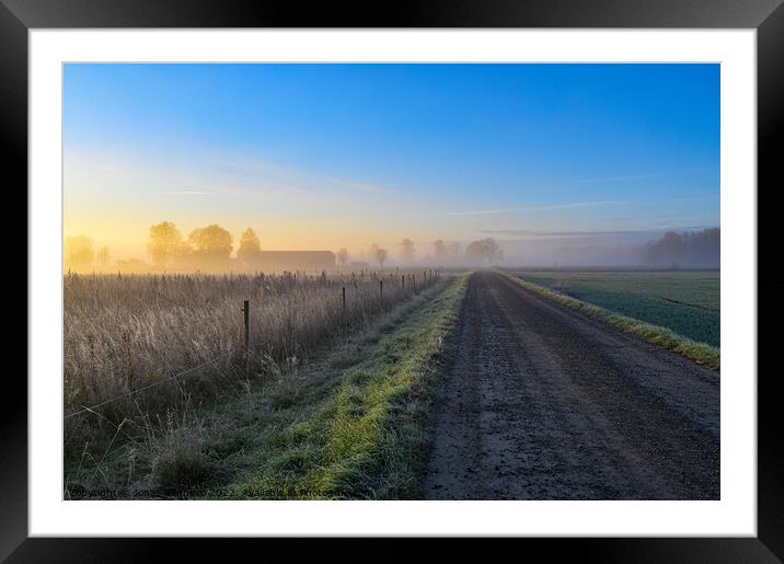 sunrise over fields and gravel road a misty morning Framed Mounted Print by Jonas Rönnbro