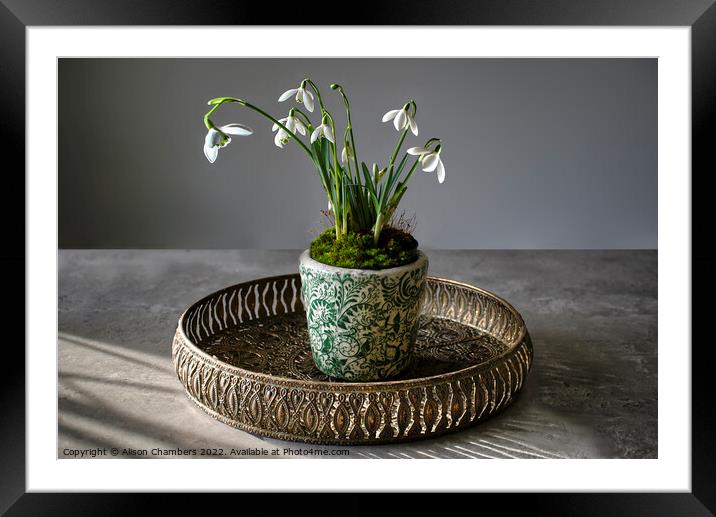 Served On A Tray Snowdrops Framed Mounted Print by Alison Chambers