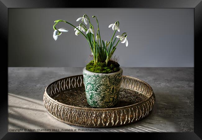 Served On A Tray Snowdrops Framed Print by Alison Chambers