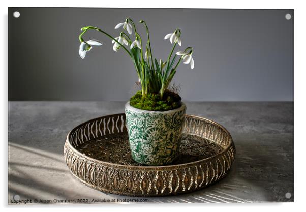 Served On A Tray Snowdrops Acrylic by Alison Chambers