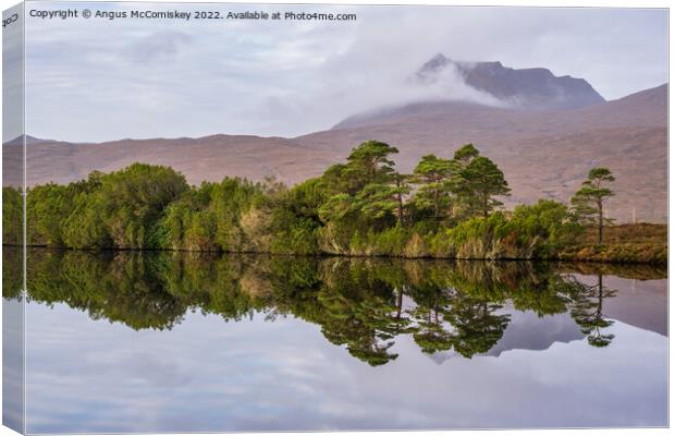 Loch Cul Dromannan reflections, Coigach Peninsula Canvas Print by Angus McComiskey
