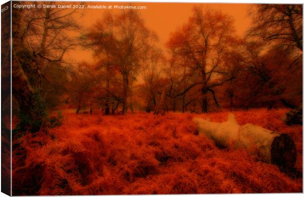 Autumn Forest Scene Canvas Print by Derek Daniel