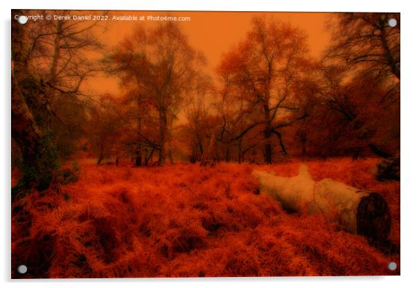 Autumn Forest Scene Acrylic by Derek Daniel