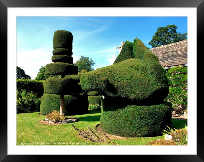 Topiary. Framed Mounted Print by john hill