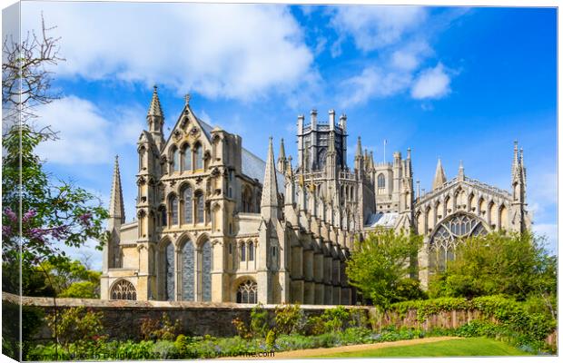 Ely Cathedral, Cambridgeshire Canvas Print by Keith Douglas