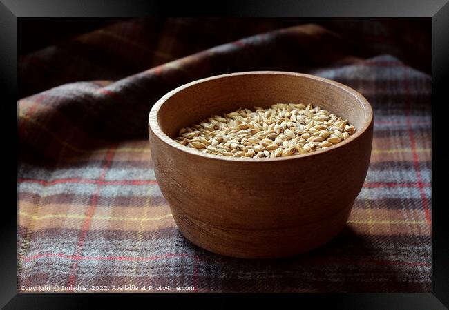 Malted Barley Grains in a Wooden Bowl Framed Print by Imladris 