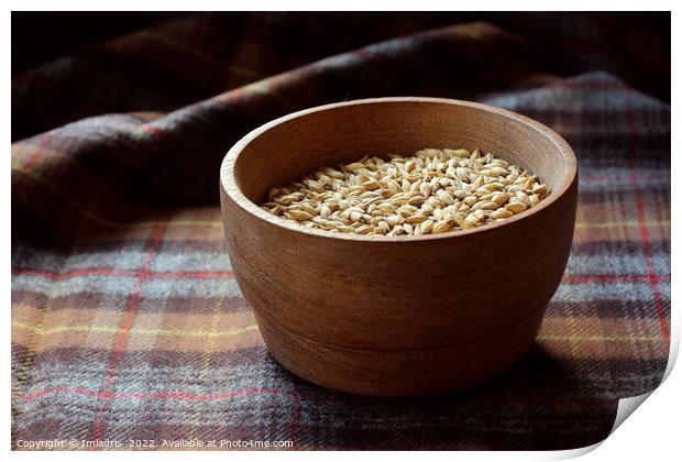 Malted Barley Grains in a Wooden Bowl Print by Imladris 