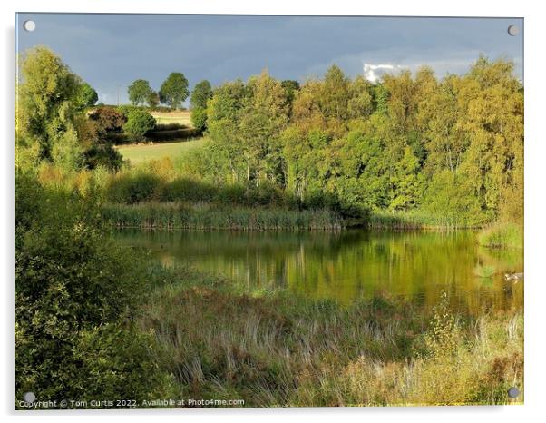 Carlton Marsh South Yorkshire Acrylic by Tom Curtis