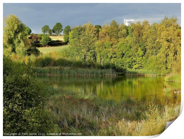 Carlton Marsh South Yorkshire Print by Tom Curtis