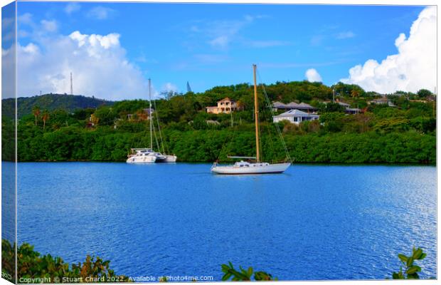 Yachts in the caribbean Canvas Print by Stuart Chard