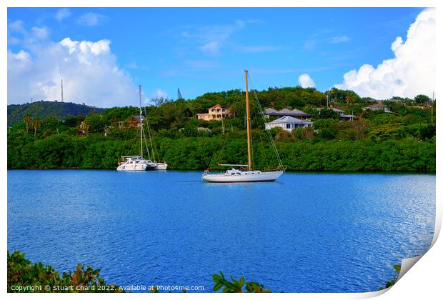 Yachts in the caribbean Print by Stuart Chard