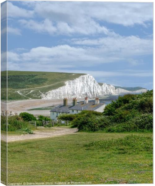  Cuckmere Haven Sussex Canvas Print by Diana Mower