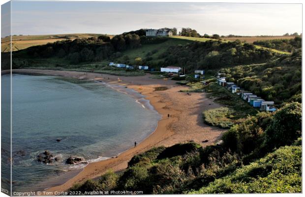Coldingham Bay Northumberland Canvas Print by Tom Curtis