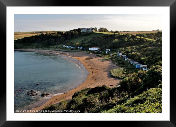 Coldingham Bay Northumberland Framed Mounted Print by Tom Curtis