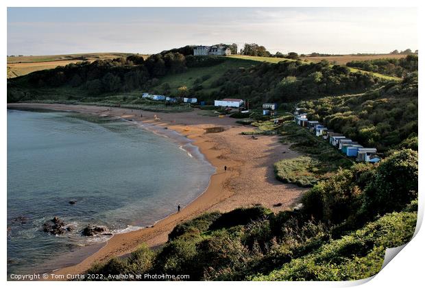 Coldingham Bay Northumberland Print by Tom Curtis