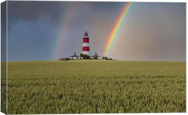 Striped Beauty in Norfolk Canvas Print by Kevin Snelling