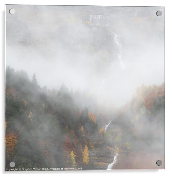 Pineta Valley Mist Acrylic by Stephen Taylor