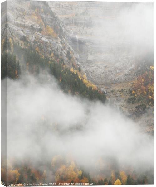Autumn in the Pineta Valley Canvas Print by Stephen Taylor