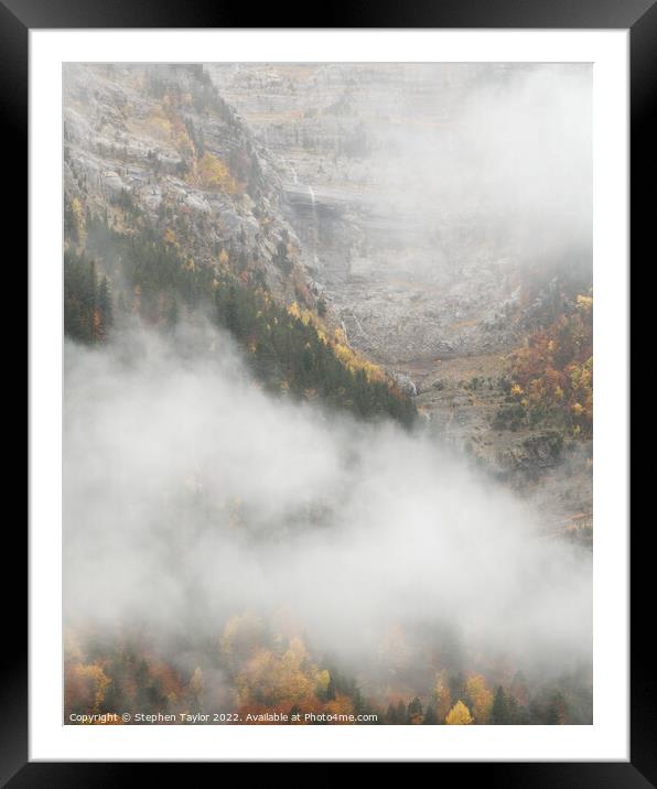 Autumn in the Pineta Valley Framed Mounted Print by Stephen Taylor