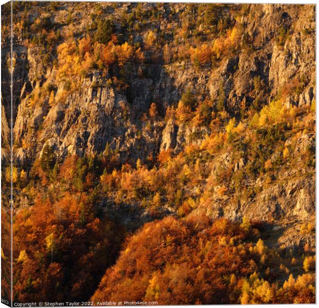 Autumn colours in the Pineta Valley Canvas Print by Stephen Taylor