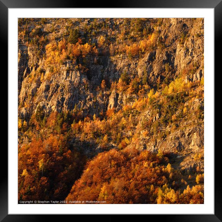 Autumn colours in the Pineta Valley Framed Mounted Print by Stephen Taylor