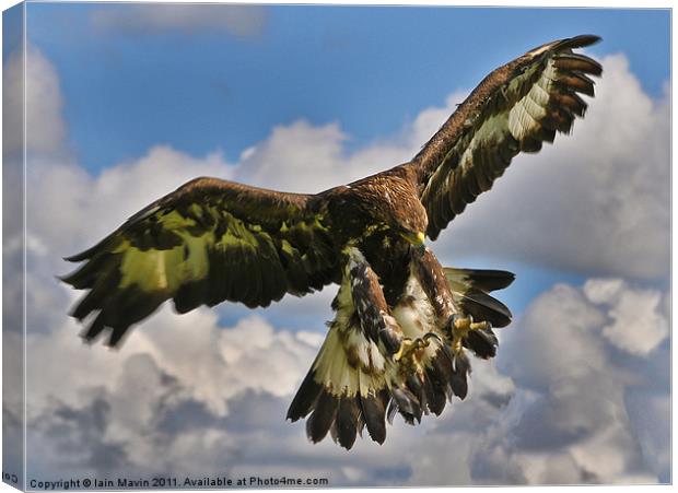 The Eagle is Landing Canvas Print by Iain Mavin