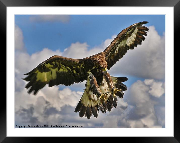 The Eagle is Landing Framed Mounted Print by Iain Mavin