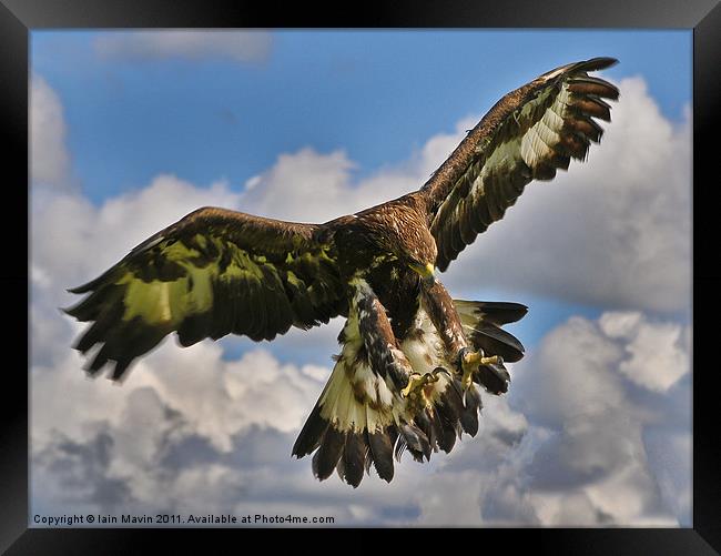 The Eagle is Landing Framed Print by Iain Mavin