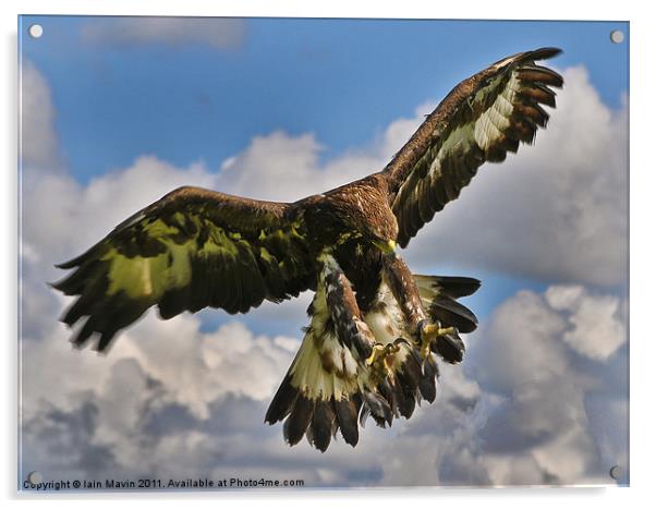The Eagle is Landing Acrylic by Iain Mavin