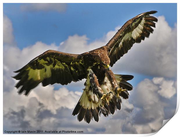 The Eagle is Landing Print by Iain Mavin