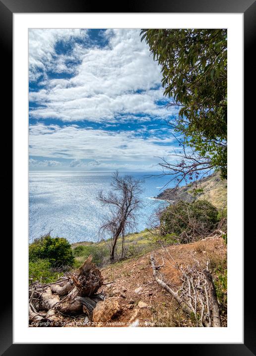 Antigua & Caribbean Coastline Framed Mounted Print by Travel and Pixels 