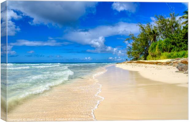 Barbados Beach Canvas Print by Travel and Pixels 
