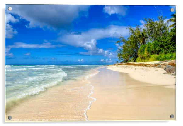 Barbados Beach Acrylic by Travel and Pixels 