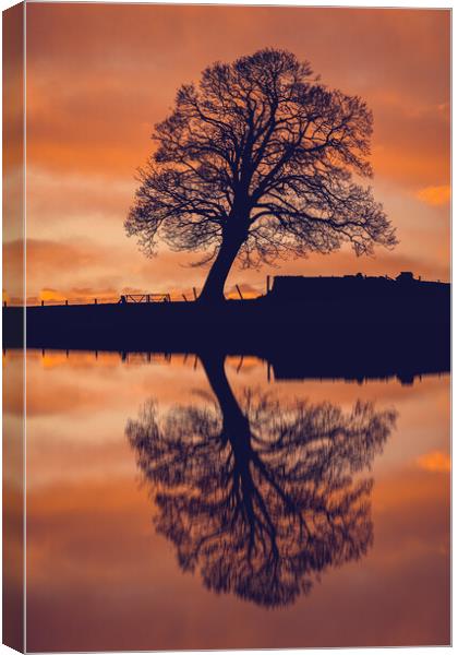 Serene Reflections Canvas Print by Duncan Loraine