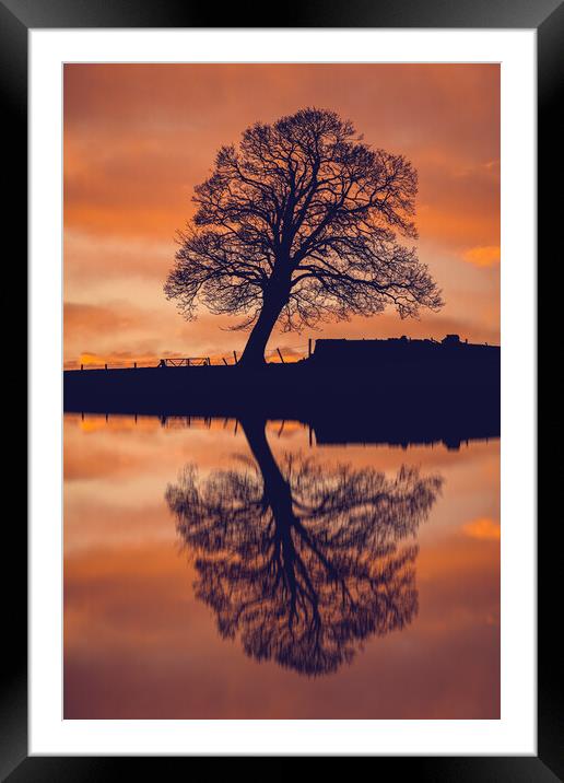 Serene Reflections Framed Mounted Print by Duncan Loraine