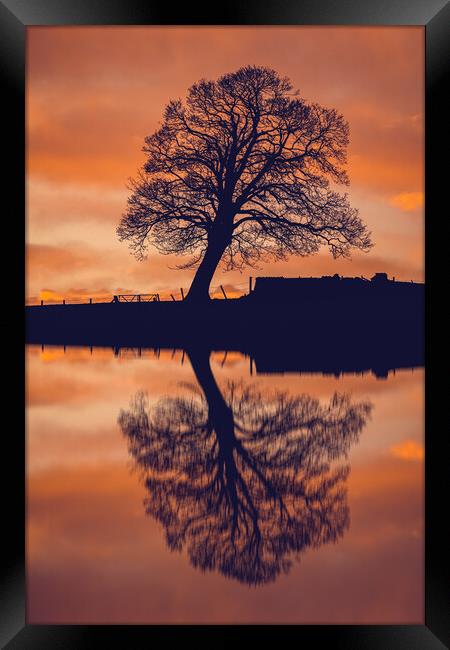 Serene Reflections Framed Print by Duncan Loraine