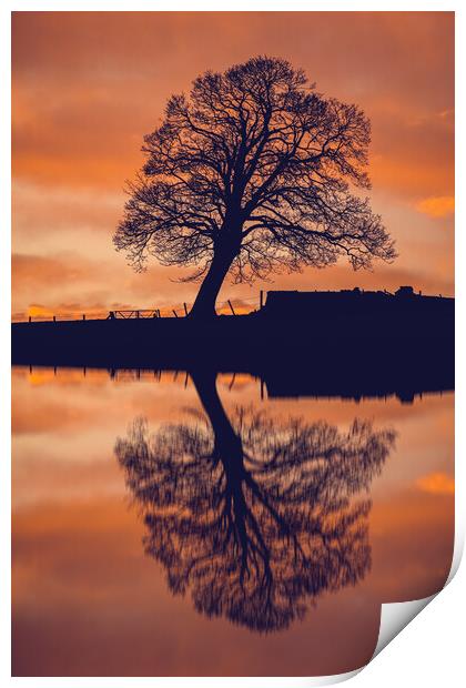Serene Reflections Print by Duncan Loraine