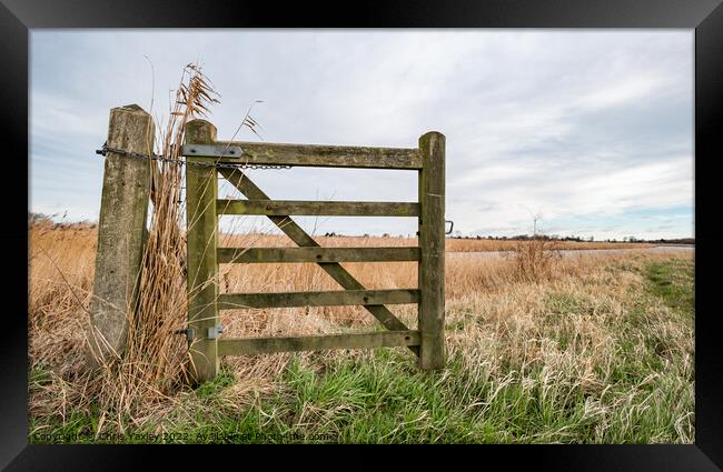 Rural gate, Norfolk Framed Print by Chris Yaxley