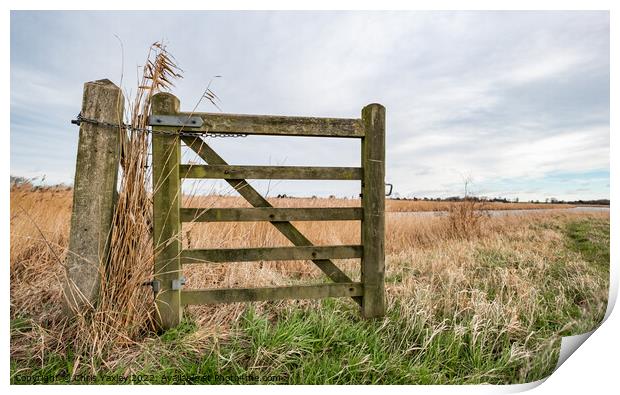 Rural gate, Norfolk Print by Chris Yaxley