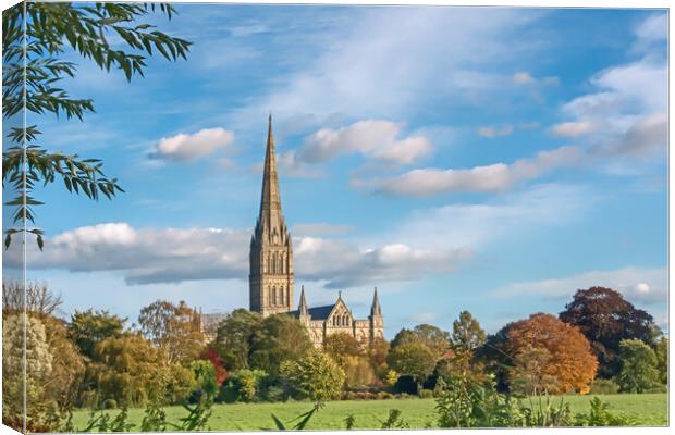 Salisbury Cathedral from the Meadows  Canvas Print by Joyce Storey