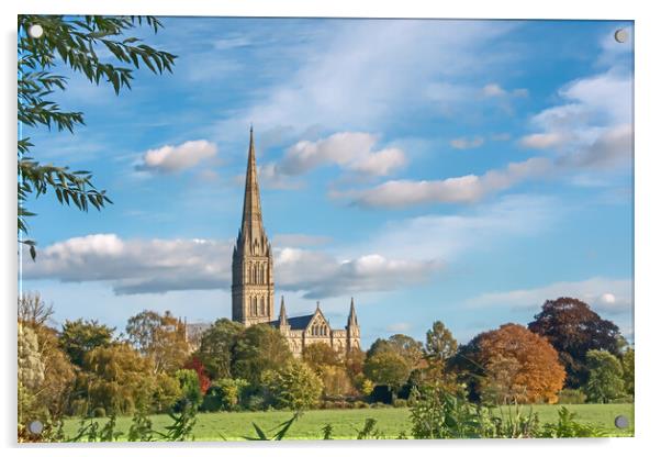 Salisbury Cathedral from the Meadows  Acrylic by Joyce Storey