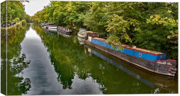 Thames Path near Oxford Canvas Print by Joyce Storey