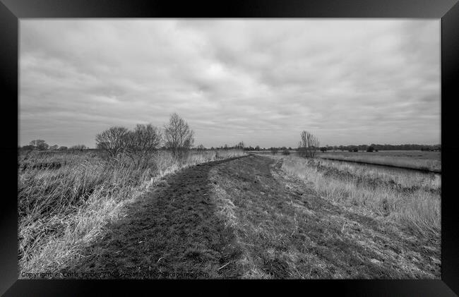 Rural footpath in the Norfolk countryside Framed Print by Chris Yaxley