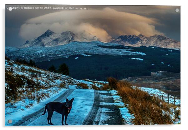 'Lucy', the Glenmore road and the Cuillin. Acrylic by Richard Smith
