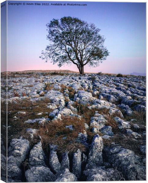 Solitary Sentinel of Malham Canvas Print by Kevin Elias