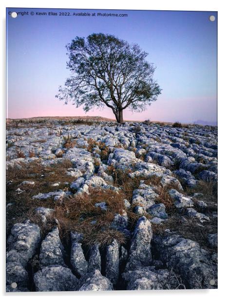 Solitary Sentinel of Malham Acrylic by Kevin Elias