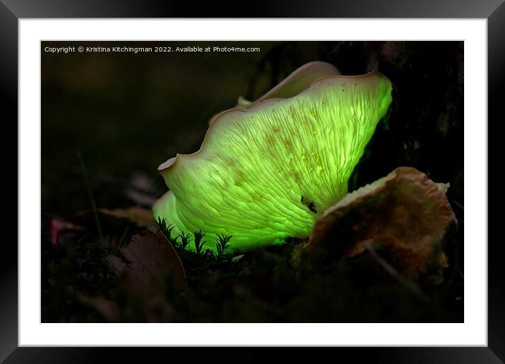 Forest Floor Framed Mounted Print by Kristina Kitchingman
