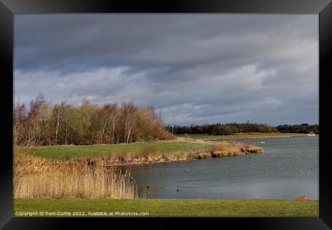 Anglers Country Park Wakefield Framed Print by Tom Curtis