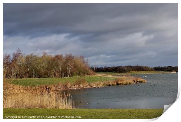 Anglers Country Park Wakefield Print by Tom Curtis