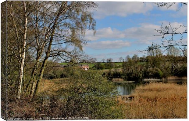 Carlton Marsh Nature Reserve South Yorkshire Canvas Print by Tom Curtis